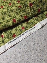 Debbie Mumm Jo-Ann Watermelon Green Backround 2 Yards Fabric