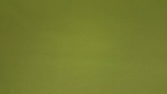 Discount Fabric ULTRA LEATHER Original Parrot Upholstery & Automotive