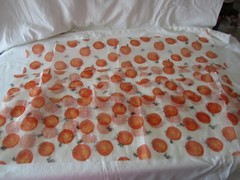 Vtg Glitter Orange Pumpkin Black Spider White Web Clear Netting Fabric