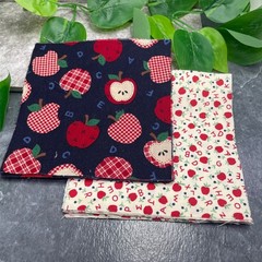 24 PC 5 Inch Quilting Fabric Charm Pack 2 Designs 12 Each New Free Ship 5FS1798