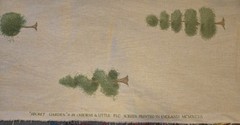 Osborne & Little Secret Garden Fabric Green Topiaries Beige Background 44″x 64″