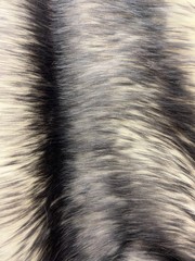 Bristol GREY Tip Candy Shag Long Pile Soft Faux Fur Fabric for Fursuit, Cosplay