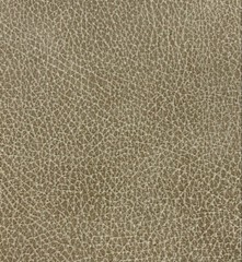 MARINE GRADE 54″ Tan Brisa Vinyl 1/4″ Foam Back Boat Upholstery ES036