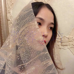 Glitter Tulle Mesh Fabric Bronzing Material for Wedding Dress DIY By Metre