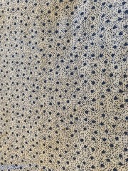 500383 Fabric Gray on White Background – 3 1/2 Yards x 30″ Wide