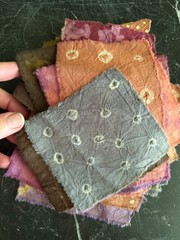 Amazon Rainforesr Plant dyed fabric swatches cotton cloth natural