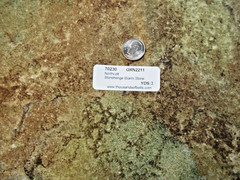 NORTHCOTT STONEHENGE WARM STONE ‘GRN2211’ BTY