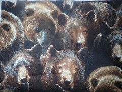 2.5 yds Bear River Kevin Daniel Wilmington Prints Cotton Fabric Realistic New