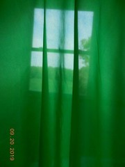 BTY Vintage Kelly Green Synthetic Silky Light Fabric 44W #0073