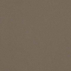 Remnant of Burch Allante Medium Neutral Upholstery Vinyl