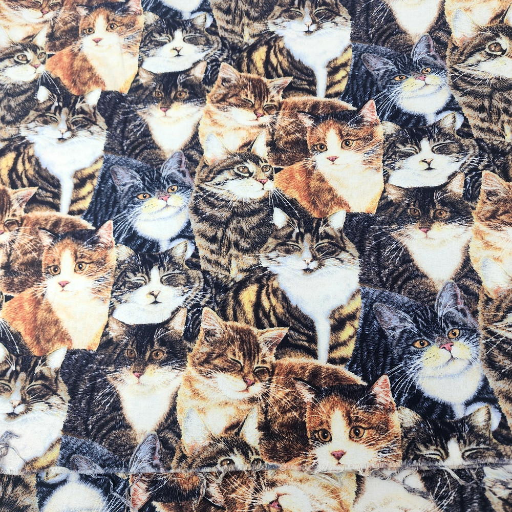 Sewing Quilt Craft Fabric Tabby Cats Sew Curious Anne Mortimer Print 2 yds