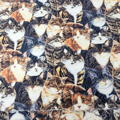 Sewing Quilt Craft Fabric Tabby Cats Sew Curious Anne Mortimer Print 2 yds