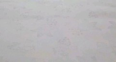 Small White Floral on Peach Cream Cotton Fabric Quilting BY THE YARD