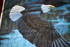 David Textiles National Treasures Bald Eagle Panel 36×45″
