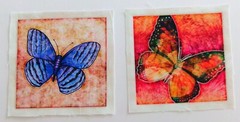 Blue Butterfly on Beige, Butterfly on Orange – 2 pieces Picture 4 1/4″ x 4 1/4″