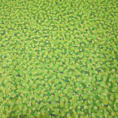 Floral Fantasia BTY P&B Textiles Tonal Green Gray
