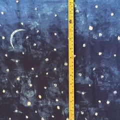 House Under The Newspaper Moon Carrie Bloomston 40876 Windham Fabric 1 1/2 Yds