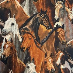 Horses Rivers Bend Cotton Fabric BTY Springs Creative By the Yard Brown Mustangs