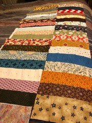 August Special! Buy 10 Cotton Quilting/Crafting Strips 2”X10” -Get FREE Fabric