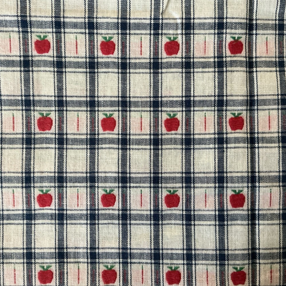 26” x 56” Wide Cotton Woven Design with Red Apples on White + Blue Checks Vtg