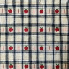 26” x 56” Wide Cotton Woven Design with Red Apples on White + Blue Checks Vtg