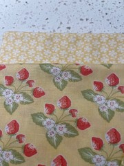 6 Half yard bundle contains Fig Tree fabrics and other designers fabrics cooo