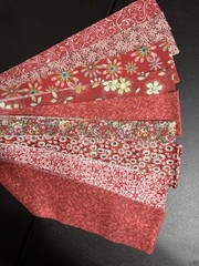 Jelly Roll Strips 18 pc – 9 designs – Die Cut 2 1/2 x WOF