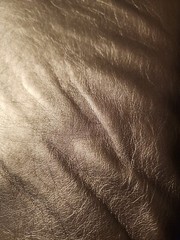 2 Yards Berkshire Home 100% Polyurethane 83% Polyester 54″ faux leather bronze