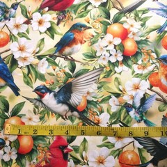 Good Fortune Birds Orange Blossoms Multi Cotton Fabric 44″ By The Yard