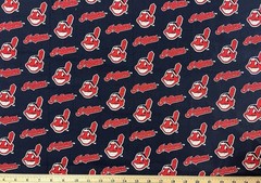 VINTAGE Cleveland Indians Guardians MLB, 100% Cotton Fabric, (12”x57”) Prewashed