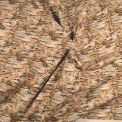 Cream, Brown Black, Gray Mixed Slashes, Nature Print Cotton, BTY or 17″x44″