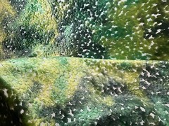 CASSARO PO2194/02 Pomona Velvet Emerald Viscose Poly Velvet Fabric Italy BTY