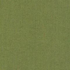 SUNBRELLA 48022 SPECTRUM CILANTRO GREEN OUTDOOR FURNITURE FABRIC BY YARD 54″W