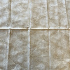 Fusions Tan Cream Taupe Tonal Mini Branch Leaf Clusters Kaufman 1.9 Y