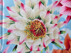 OOP 1/2YD Kaffe Fassett Collective PWPJ096 Cactus Flower Multi Quilt Cotton