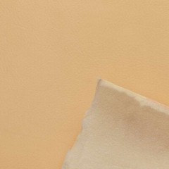 MasterCraft Boat 1/2 Foam Back Vinyl 693040 | Cream Beach 54 Inch (YD)