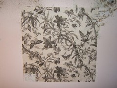 Duralee, Sparrows and Butterflies Floral, Remnant, 25″ W X 25″ L, Color Charcoal