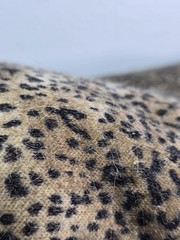 Leopard Animal Print Sweater Knit Fabric 60″ Wide 2 Yards Brown Black Soft