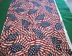 Lot of Patriotic Red White Blue Fabric Pieces Flag Words & Valance