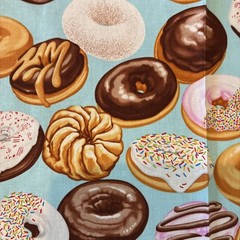 DOUGHNUTS Maria Kalinowski Benartex Kanvas Studio Fabric 1 YARD