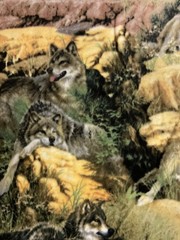 WOLVES WOLF PACK FOREST REALISTIC FLEECE FABRIC BTY