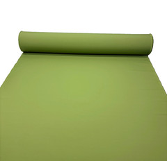 WEATHER BLOCK CANVAS GINKGO GREEN OUTDOOR SOLUTION DYED POLY FABRIC BY YARD 54″W