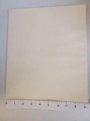 Solids Warm White