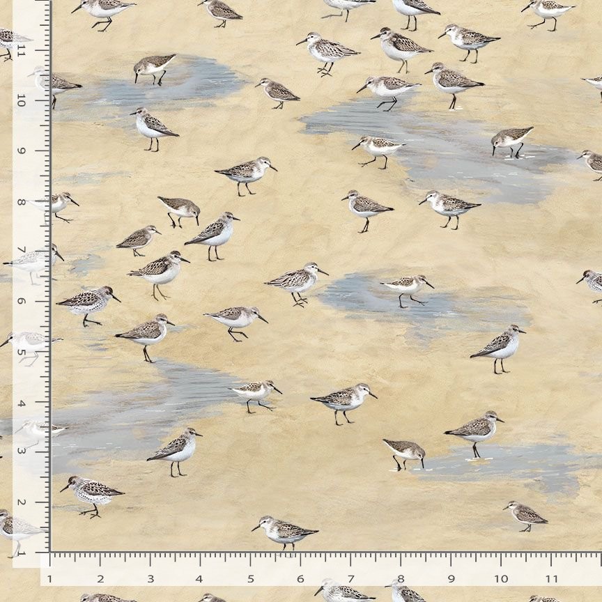 Let Your Light Shine Fabric | Sandpiper Bird Beige | Timeless Treasures YARD