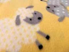 Blizzard Fleece: 3-yard 25 inches piece – 59 inches wide – Baby Yellow