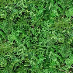 Landscape Medley Evergreen Foliage Arborvitae Thuja Cotton Fabric BTY
