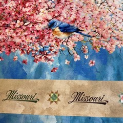 All Missouri Shop Hop 2024 Windham Fabrics Whistler Studios Cotton Fabric 2 yd.