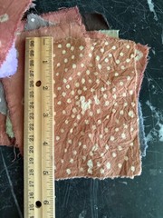 Amazon Rainforesr Plant dyed fabric swatches cotton cloth natural