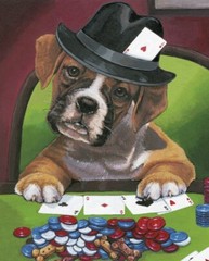 Poker With The Boys Boxer Panel Cotton Fabric 36 X 44 Inches