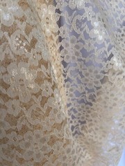 Champagne Sheer Mesh Floral Pattern Raschel Lace 58/60” Polyester Fabric By Yard